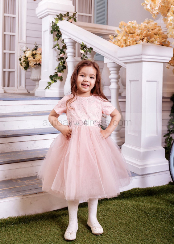 Short Sleeves Blush Pink Lace Tulle Flower Girl Dress